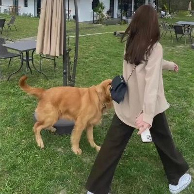 被辜负的爱